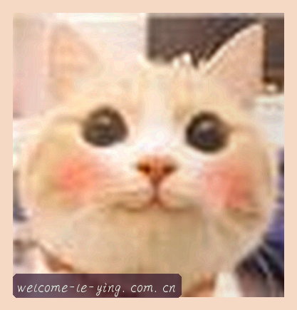王姐